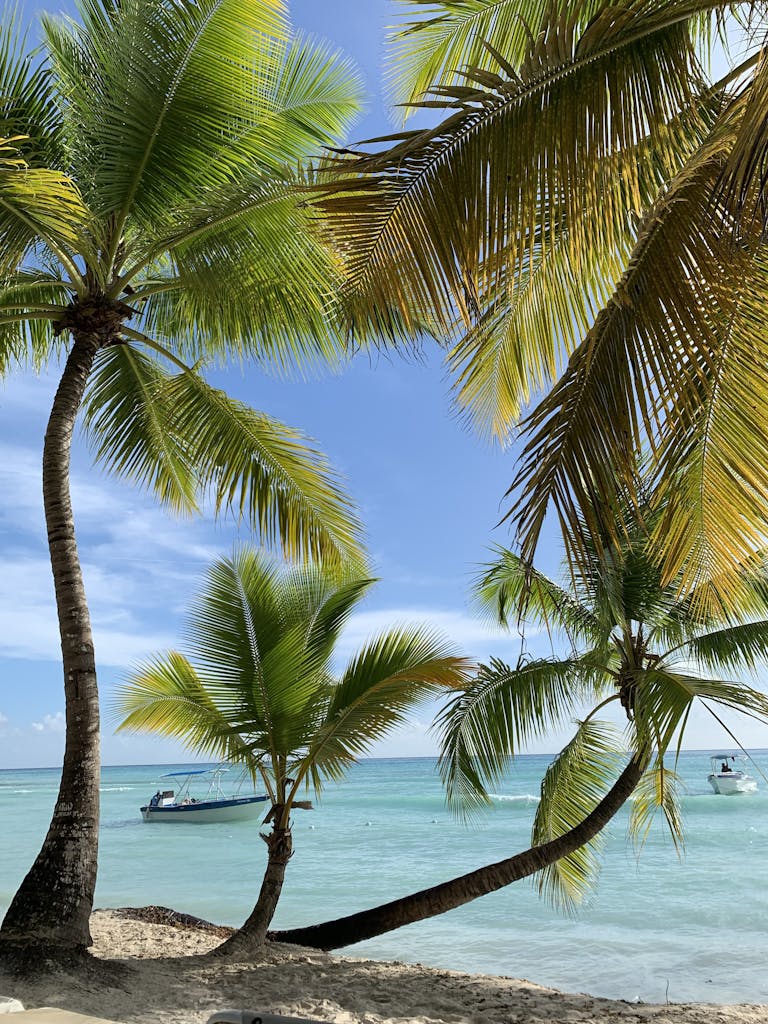 Cómo tener Internet en República Dominicana