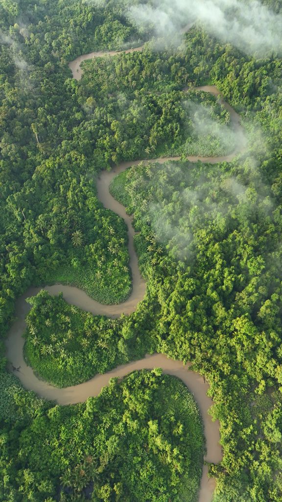 Stunning aerial shot of a winding river cutting through lush jungle in West Sumatra, Indonesia.