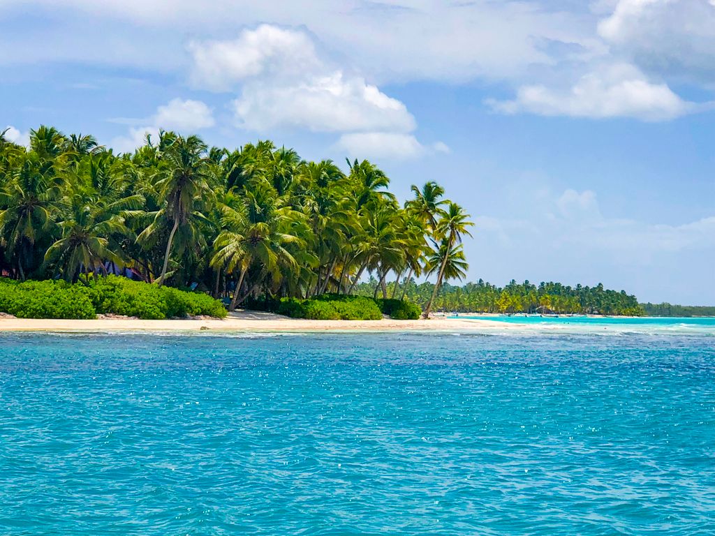 Idyllic exotic sandy beach with green lush palms near azure rippling sea on sunny clear day
